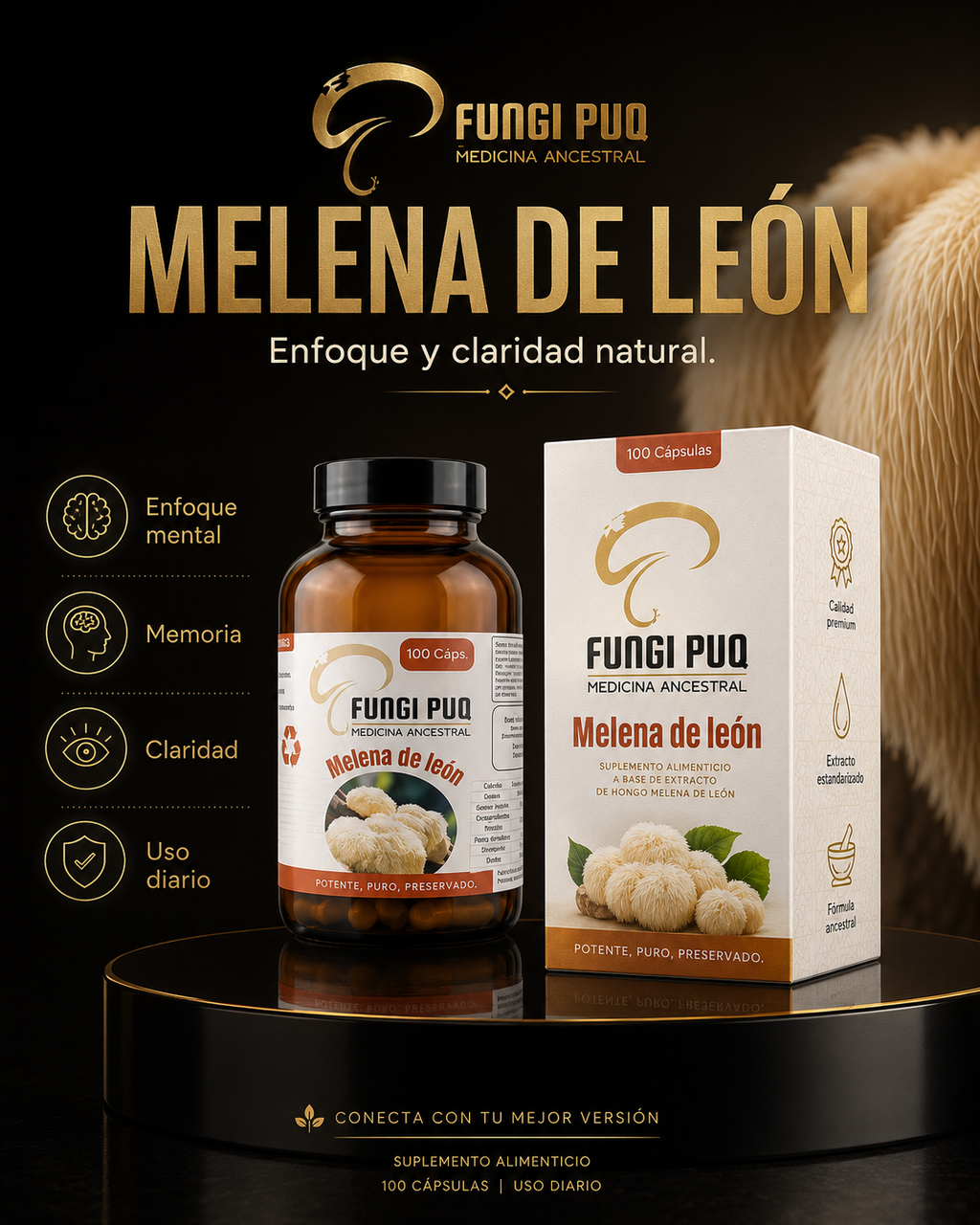 Melena de León · Cápsulas 500 mg · 100 unidades
