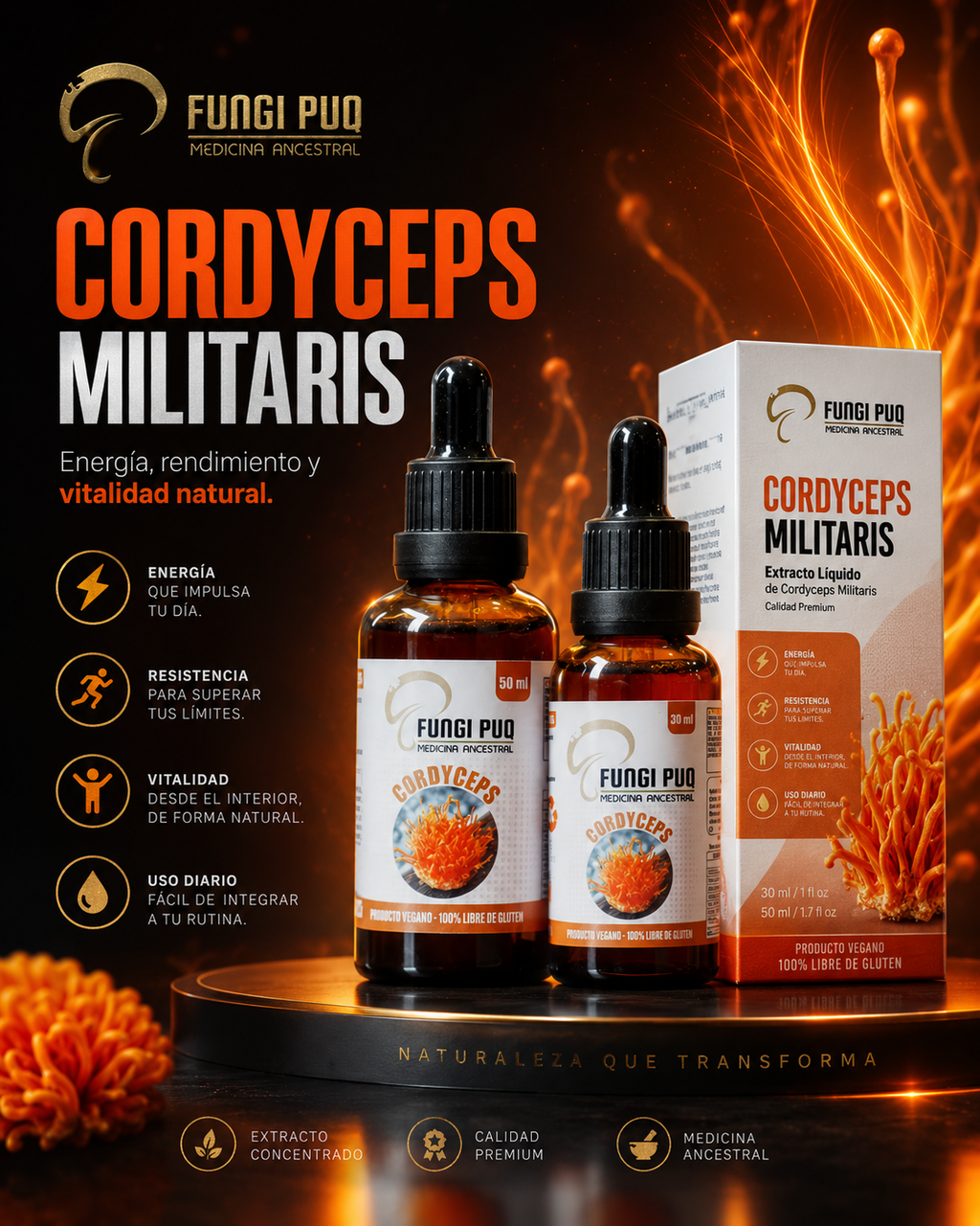 Extracto de Cordyceps Militaris