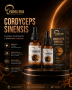 Extracto de Cordyceps Sinensis