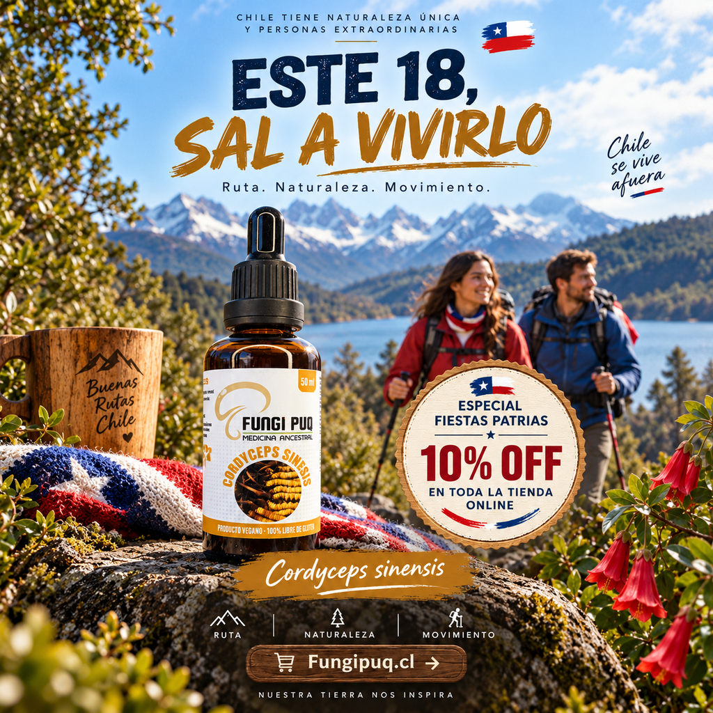 Extracto de Cordyceps Sinensis