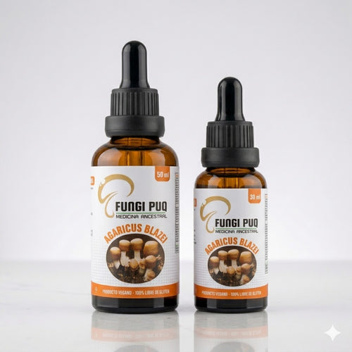 Extracto de Agaricus Blazei Fungipuq — gotario